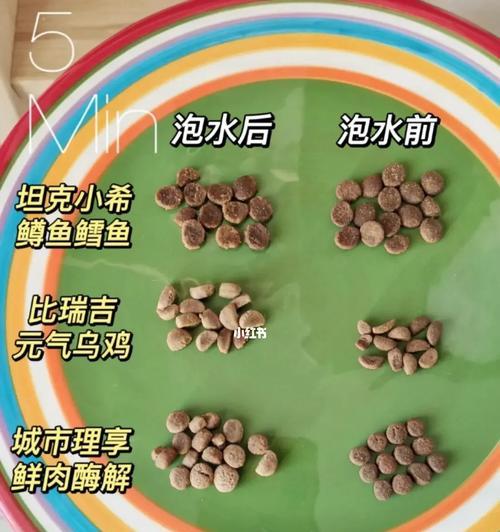 街猫吃泡了水的猫粮会怎么样？泡水猫粮对猫咪健康的影响是什么？