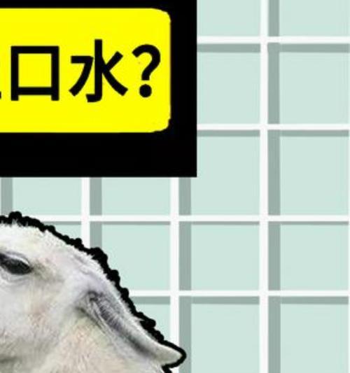 羊驼爱吐口水是什么原因？羊驼冰棍是什么产品？