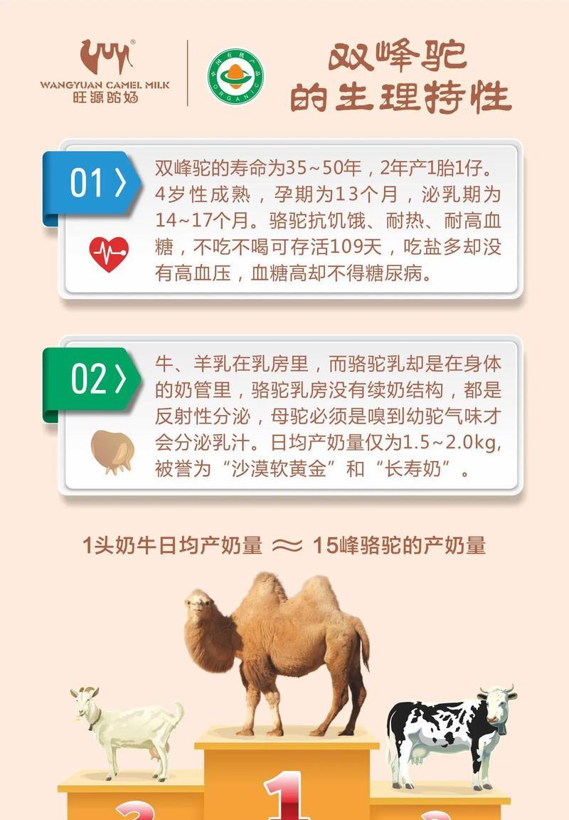 驼羊配料有哪些好吃又营养的选择？如何搭配更健康？