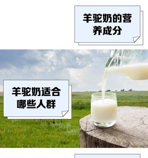 驼羊配料有哪些好吃又营养的选择？如何搭配更健康？