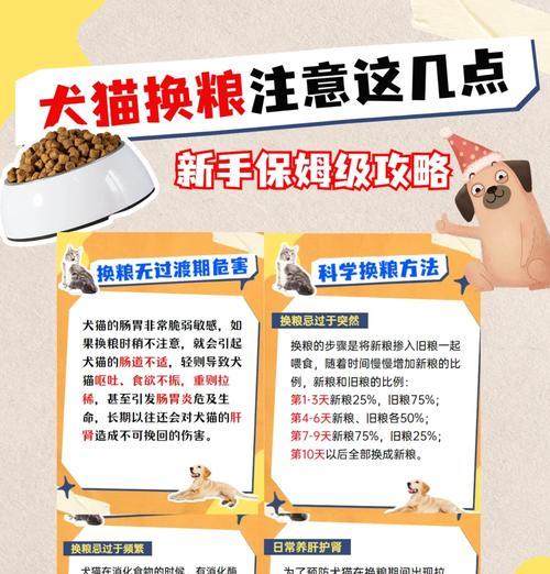 直接换猫粮伤害猫咪肠胃吗？如何避免？