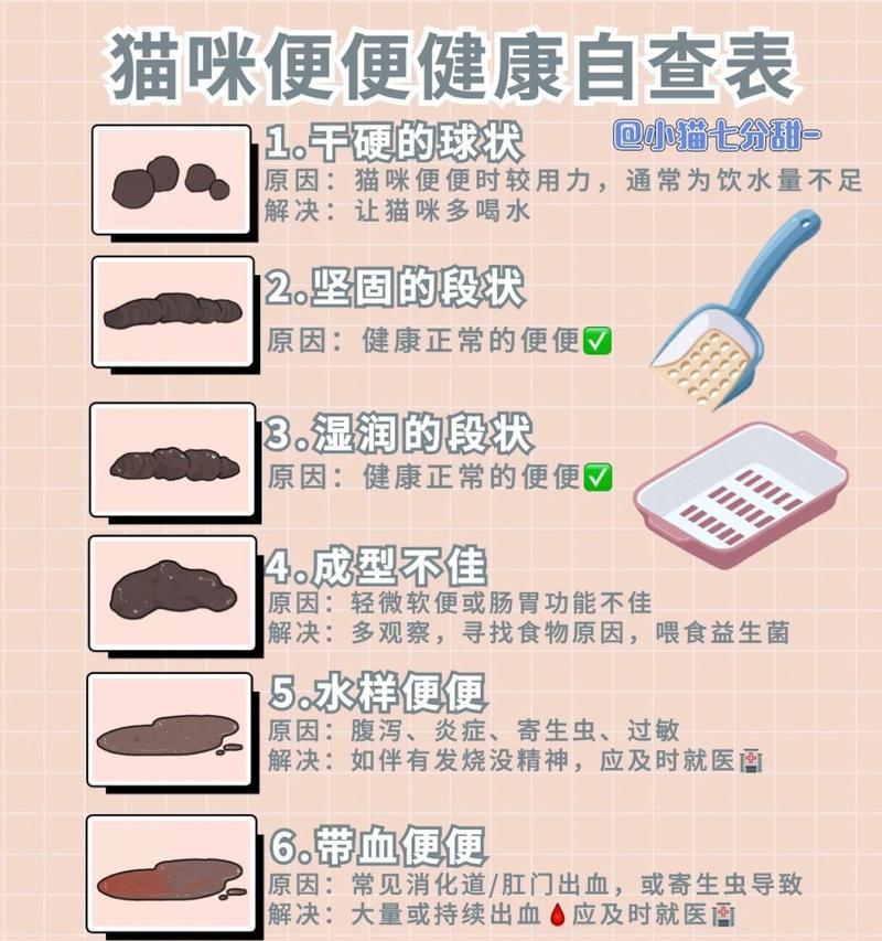 直接换猫粮伤害猫咪肠胃吗？如何避免？