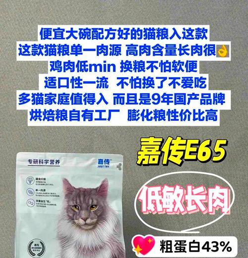 高寿猫咪的猫粮选择是什么？如何保证猫咪的健康饮食？