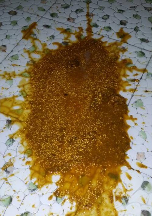 狗吃了鸡骨头后吐了狗粮又吃进去怎么办？有哪些应对措施？