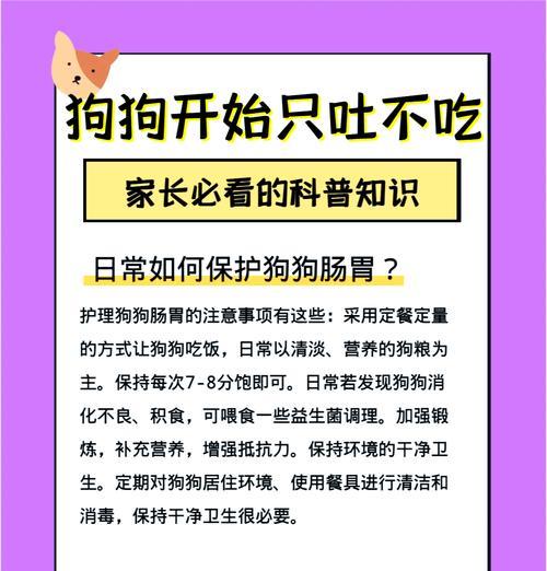 狗吃了鸡骨头后吐了狗粮又吃进去怎么办？有哪些应对措施？