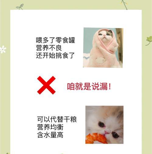 金吉拉喂食猫粮和罐头的方法？