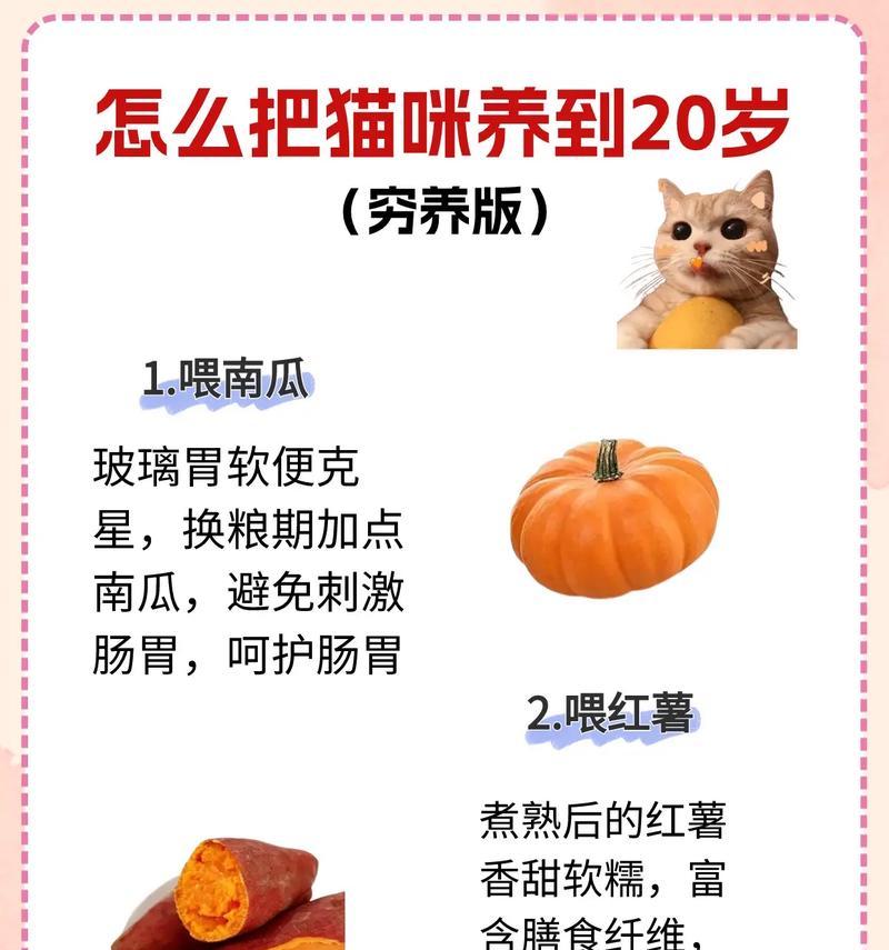猫咪偏爱吃虾不吃猫粮怎么办？如何调整饮食习惯？