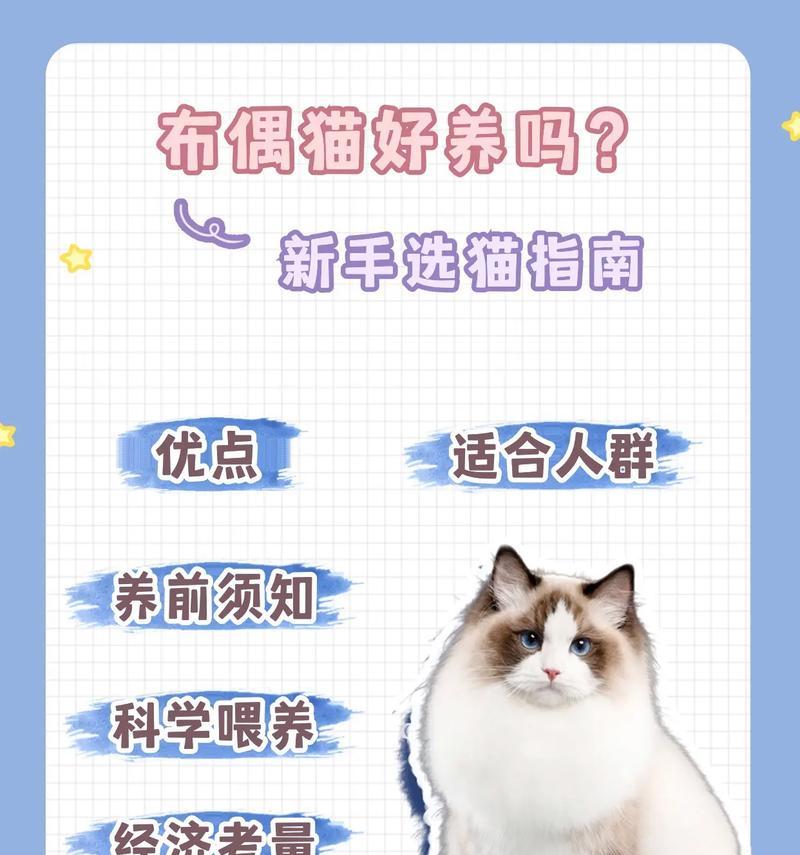 布偶猫湿粮是什么？它对布偶猫有什么好处？