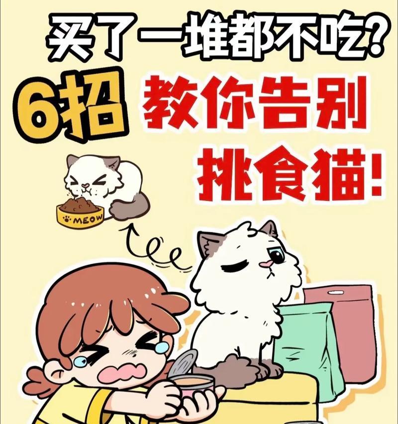 猫害怕猫粮不吃饭怎么回事？如何解决饮食焦虑？