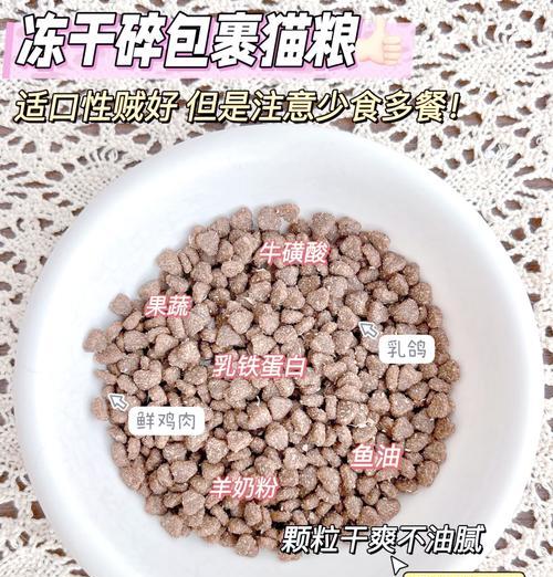 流浪幼猫拒绝猫粮的原因是什么？