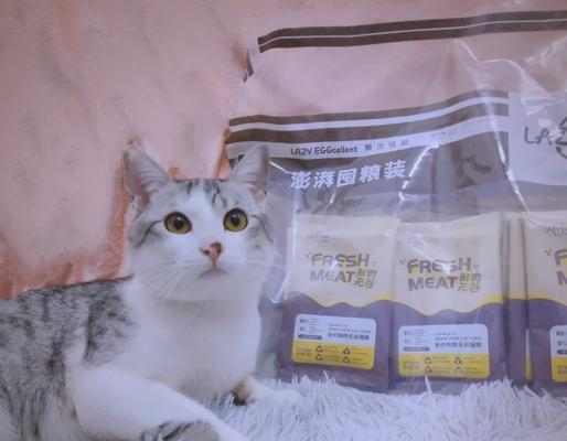 成猫小包装猫粮有何特别之处？