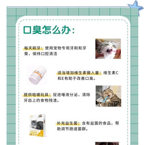 猫咪吃完猫粮后口臭怎么办？如何预防和处理？