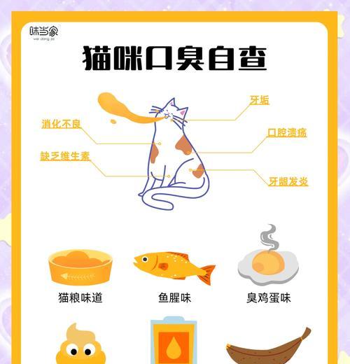 猫咪吃完猫粮后口臭怎么办？如何预防和处理？