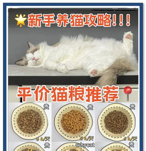 鲜肉猫粮的制作过程是怎样的？有哪些注意事项？