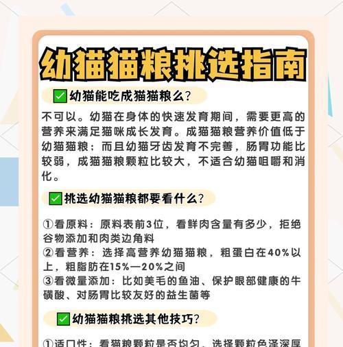 猫妈妈猫粮不足时应如何应对？