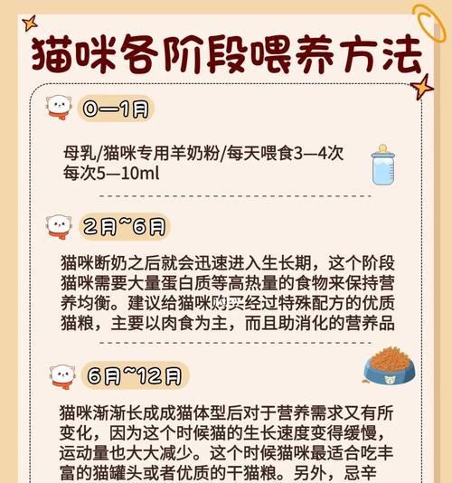 收到猫粮有什么用处吗？如何正确储存以保持新鲜？