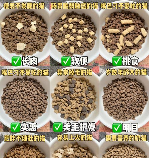 鼻炎吃什么猫粮好一点呢？哪种猫粮对鼻炎有缓解作用？