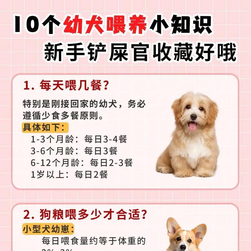 给狗子喂猫粮会有什么后果？狗子可以长期吃猫粮吗？