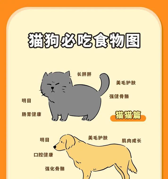 给狗子喂猫粮会有什么后果？狗子可以长期吃猫粮吗？