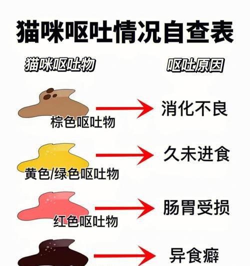 吃猫粮的猫呕吐？可能的原因有哪些？