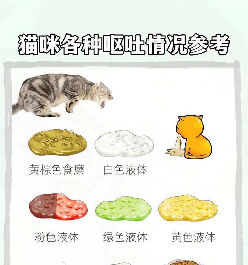 吃猫粮的猫呕吐？可能的原因有哪些？