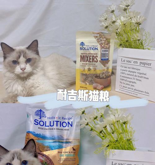 50天大的布偶猫适合哪种猫粮？
