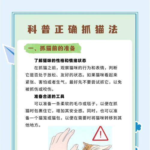 猫咪抓地板是想吃猫粮吗？这样做有何健康影响？