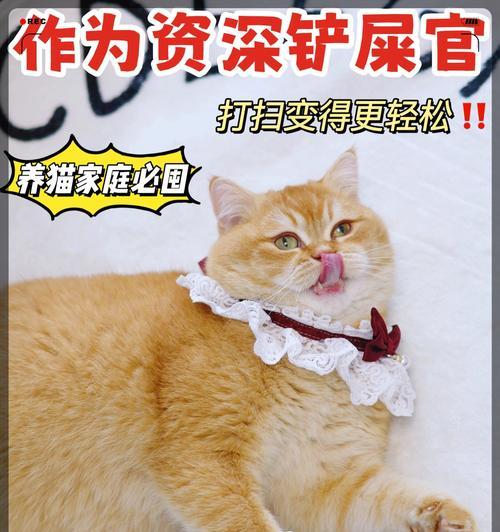 猫咪抓地板是想吃猫粮吗？这样做有何健康影响？