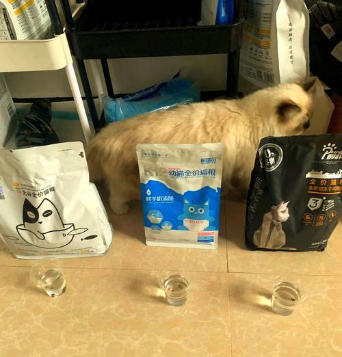 猫粮怎么泡？泡猫粮的正确步骤是什么？