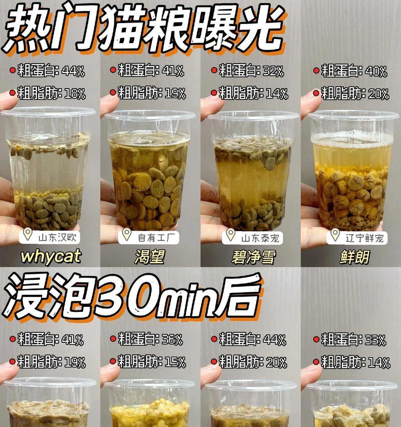 猫粮怎么泡？泡猫粮的正确步骤是什么？