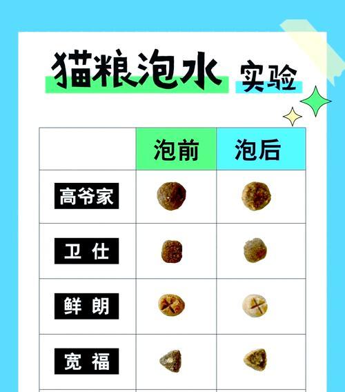 猫粮怎么泡？泡猫粮的正确步骤是什么？