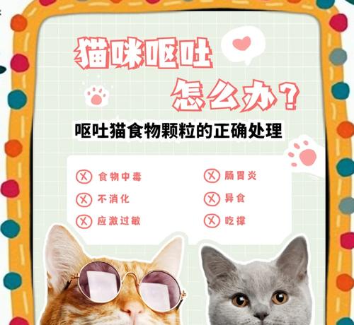 小猫吐出猫粮后应该怎么办？
