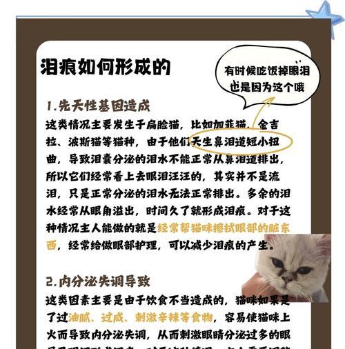 成猫食用幼猫粮导致泪痕的原因？