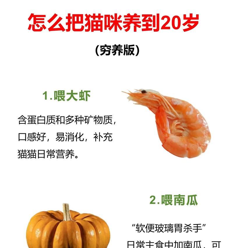 猫猫很少吃猫粮正常吗为什么？是否需要调整喂食习惯？