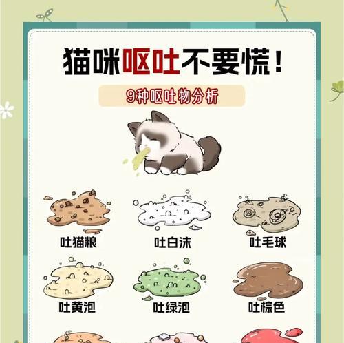 吐猫粮有血色怎么回事？猫咪健康是否受到威胁？