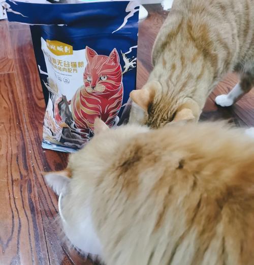 猫咪看到猫粮桶就逃跑的原因是什么？