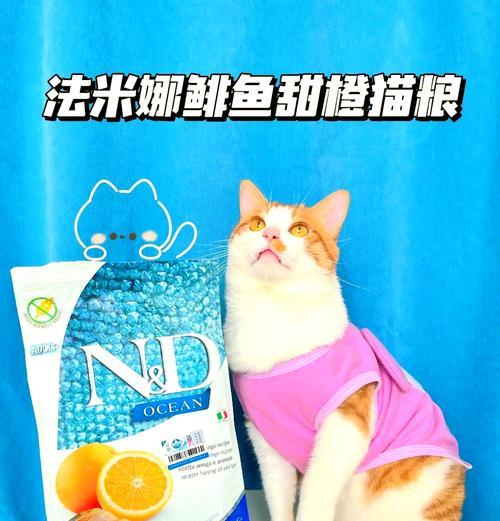 如何有效促进猫咪进食猫粮？