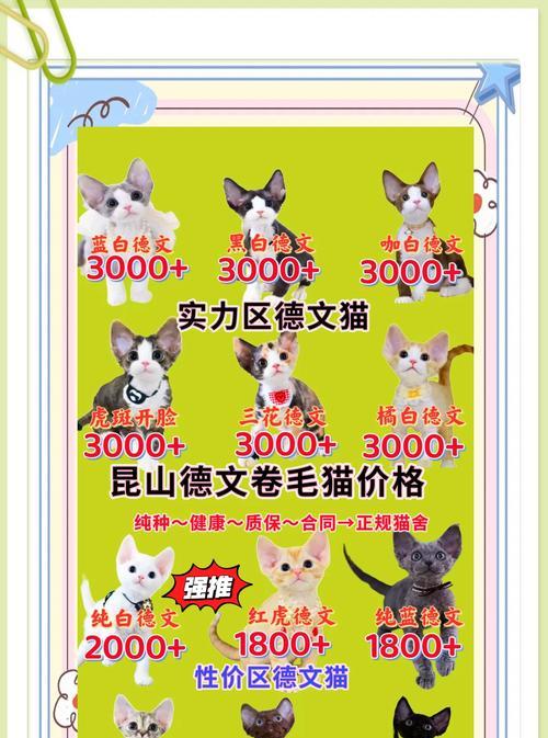 德牧尊享礼盒价格多少？猫粮不好的布偶猫怎么办？
