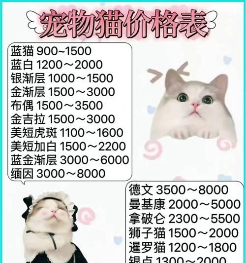 德牧尊享礼盒价格多少？猫粮不好的布偶猫怎么办？
