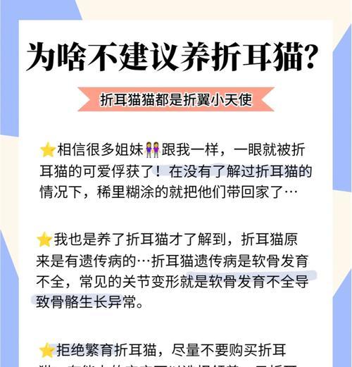 折耳猫适合吃鸡肉粮吗？原因是什么？