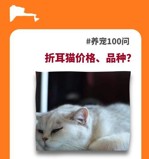 折耳猫适合吃鸡肉粮吗？原因是什么？