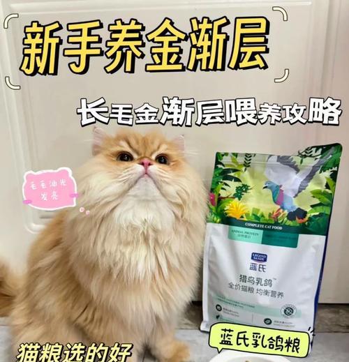 6月大猫换粮需要注意什么？换粮过程中有哪些常见问题？