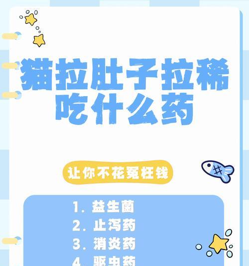 猫咪拉白便便应该吃什么药？如何判断猫咪的健康状况？