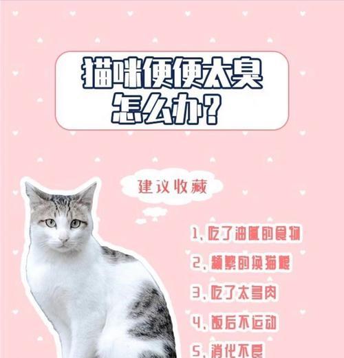 猫粮导致猫咪排泄物臭味的原因是什么？