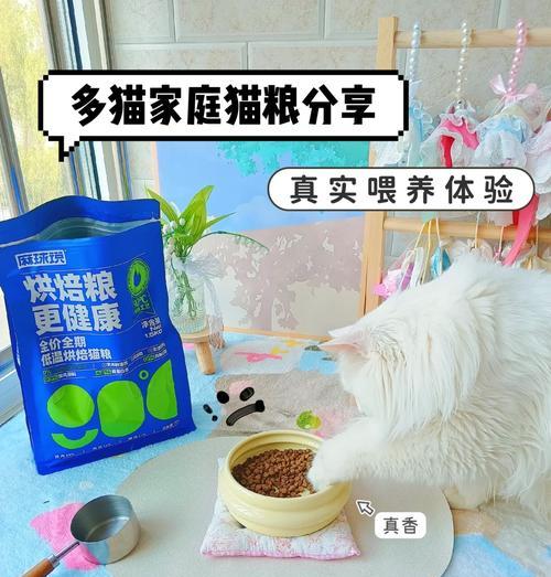 如何制作猫粮中的烘焙小鱼干？步骤是什么？