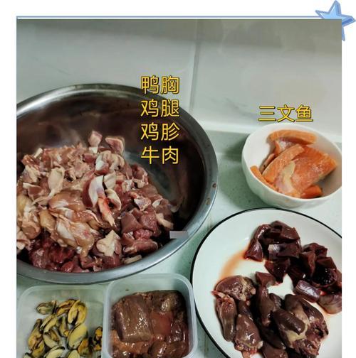猫咪营养饭搭配什么猫粮？如何确保营养均衡？