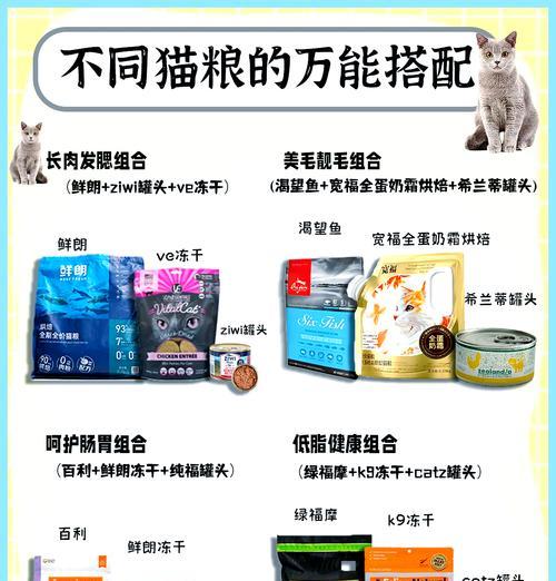 猫咪营养饭搭配什么猫粮？如何确保营养均衡？