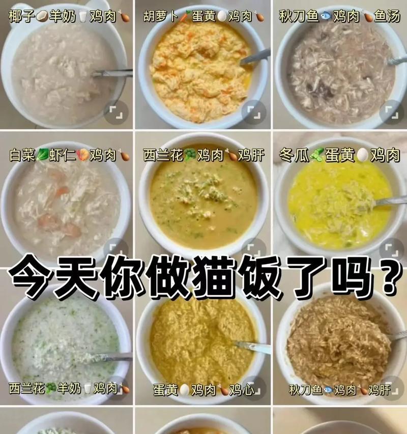 猫咪营养饭搭配什么猫粮？如何确保营养均衡？