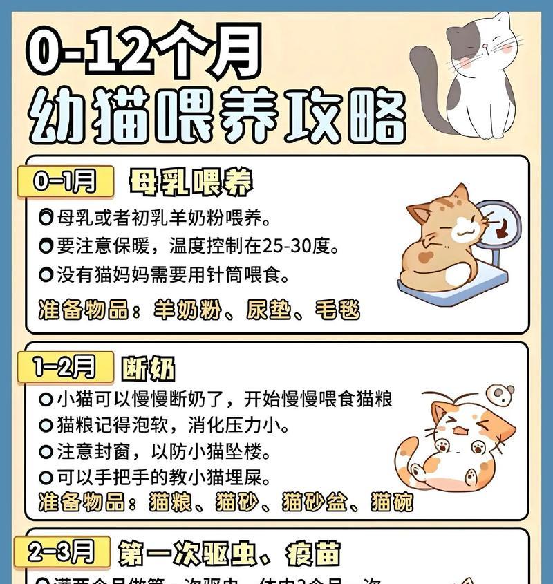 幼猫奶肉猫粮的喂食建议是什么？如何促进消化？