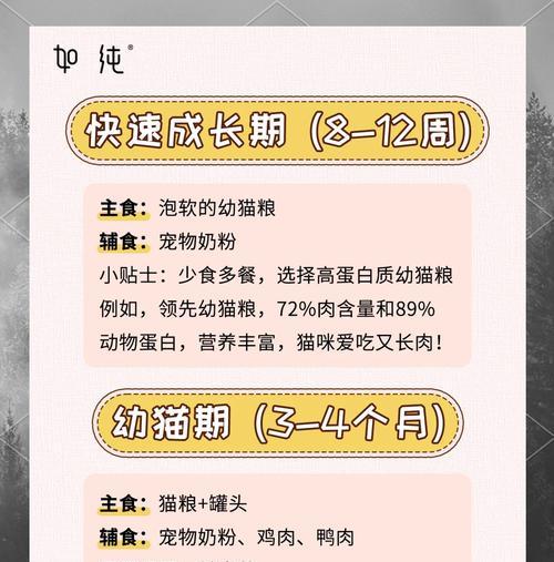 幼猫奶肉猫粮的喂食建议是什么？如何促进消化？